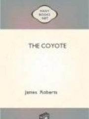 The Coyote