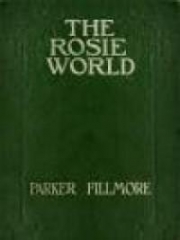 The Rosie World